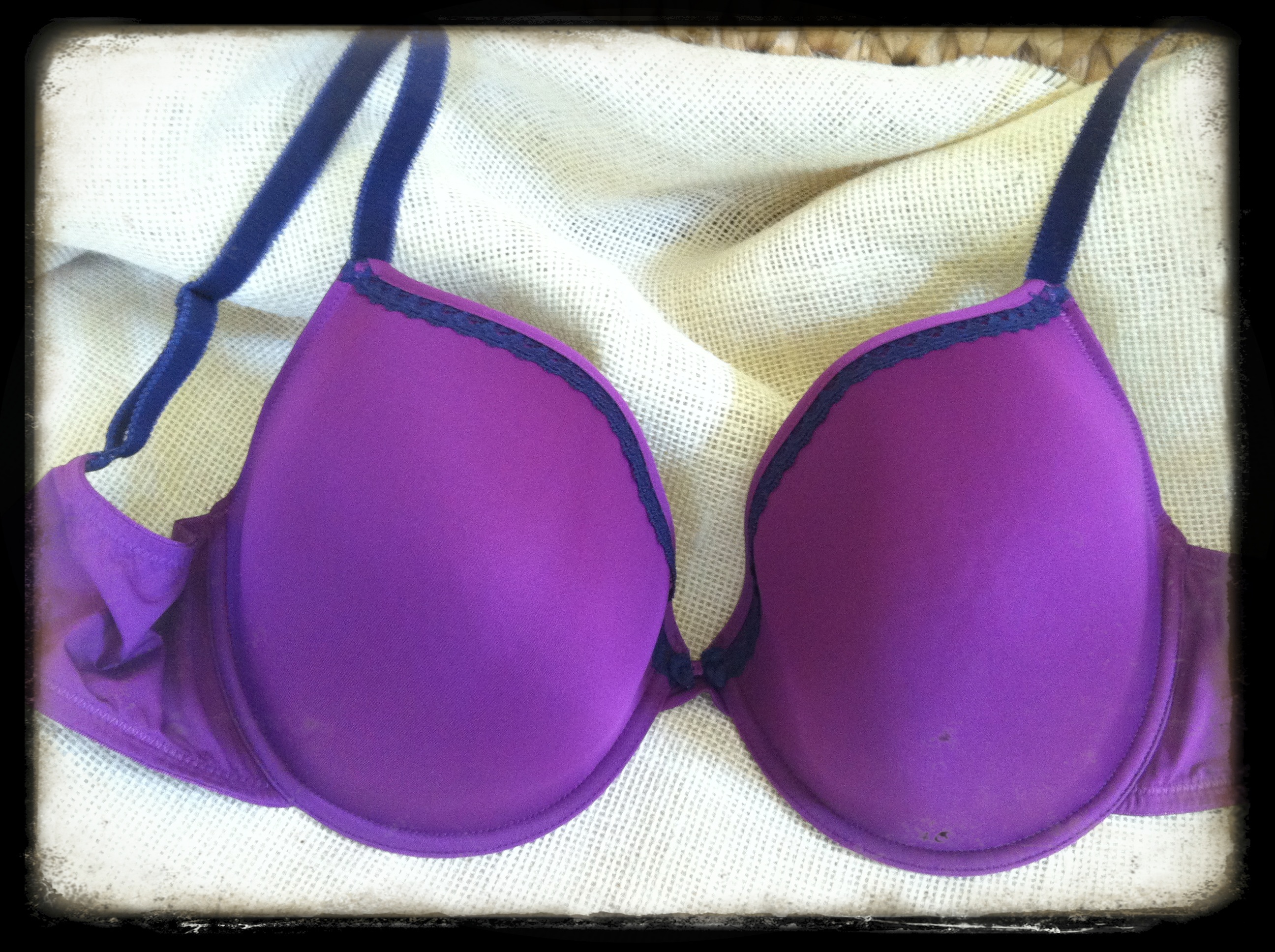 Cleo by Panache Jude Moulded T-Shirt Bra